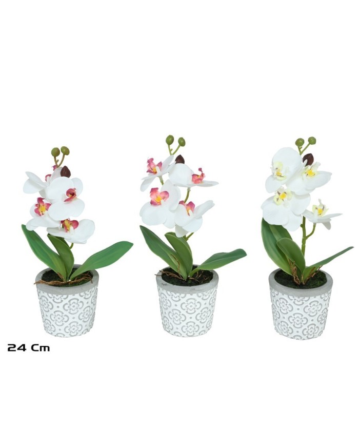 MACETA ORQUIDEAS X 4 R/TOUCH-24 CM (S)