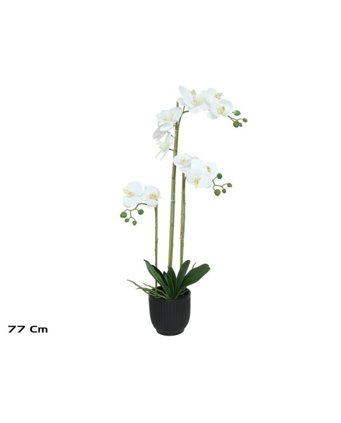 MACETA (N) ORQUIDEAS X 14 R/T-77 CM (BL)