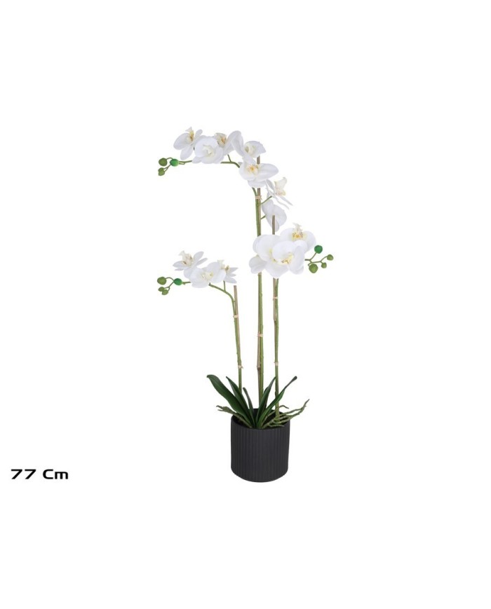 MACETA (N) ORQUIDEAS X 3 R/T-77 CM (BL)