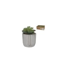 MACETA ADONIS DECORADA 11X11X10,5 CM