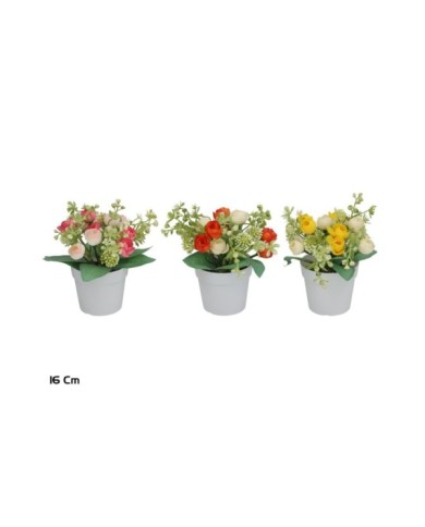 MACETA RANUNCULUS MIX- 16 CM (S)