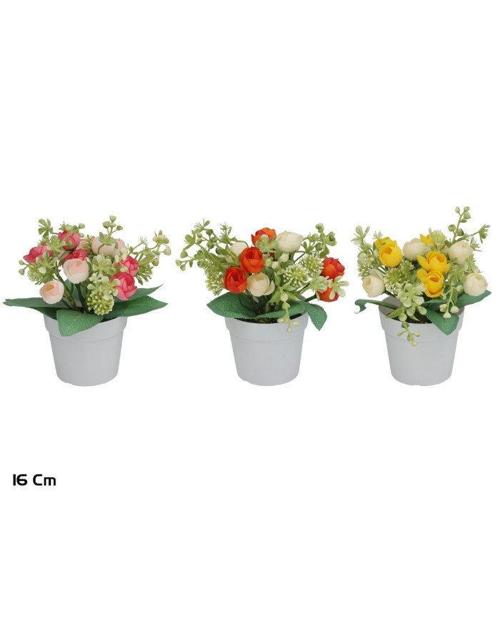 MACETA RANUNCULUS MIX- 16 CM (S)