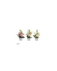 MACETA RANUNCULUS MIX- 16 CM (S)