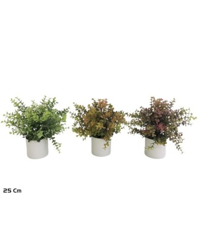 MACETA EUCALIPTO C/FLOR - 25 CM (S)