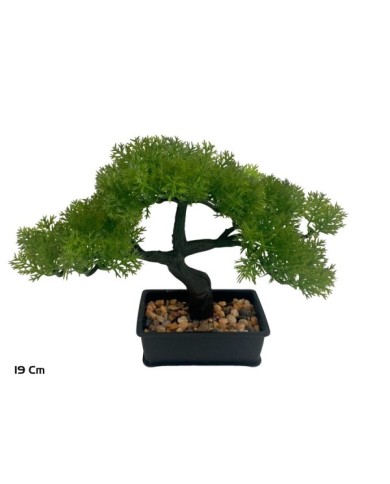 BONSAI MACETERO TRID 26 X 12 X 19 CM