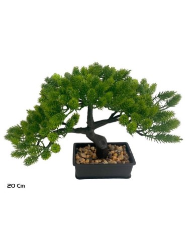 BONSAI MACETERO CONE 28 X 15 X 20 CM