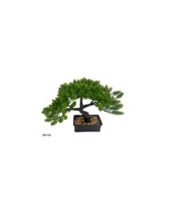 BONSAI MACETERO CONE 28 X 15 X 20 CM