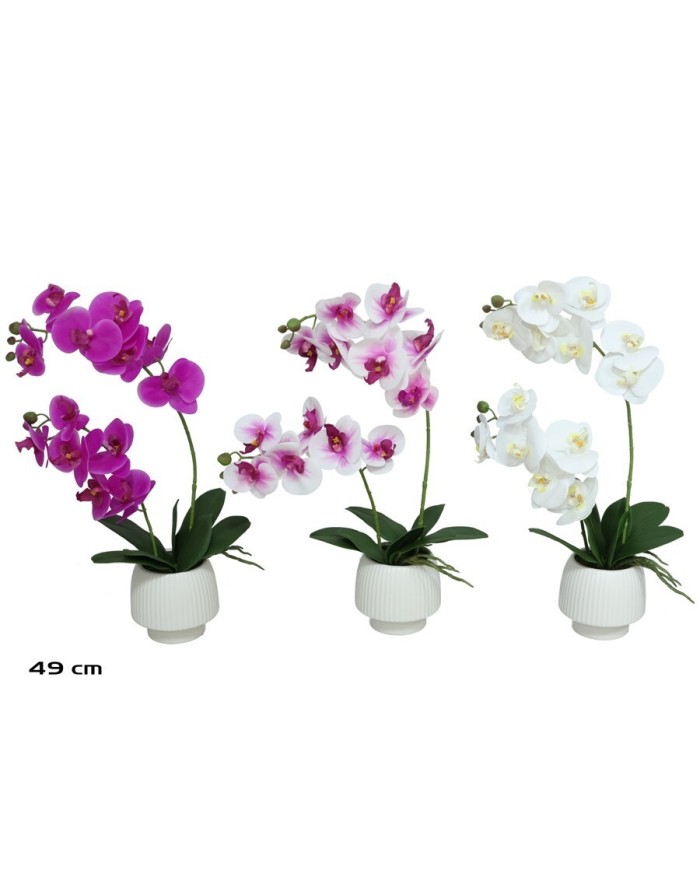 MACETA ORQUIDEAS X 11 R/T - 49 CM (S)