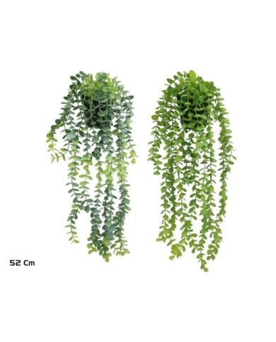 MACETA EUCALYPTUS COLGANTE - 52 CM (S)