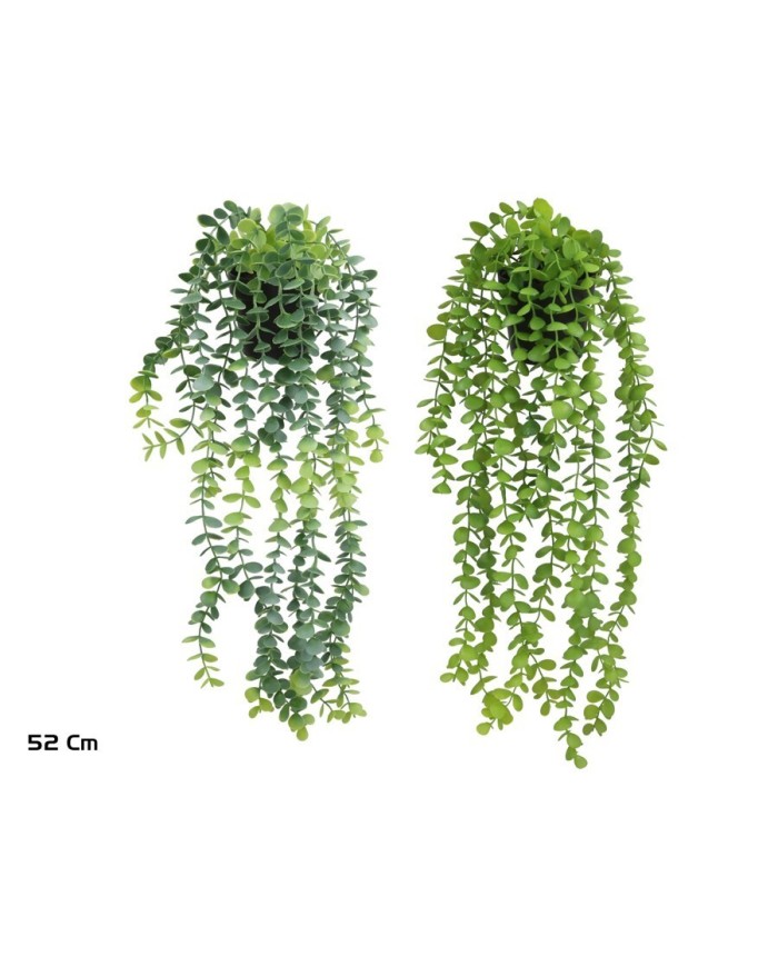 MACETA EUCALYPTUS COLGANTE - 52 CM (S)