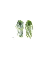 MACETA EUCALYPTUS COLGANTE - 52 CM (S)