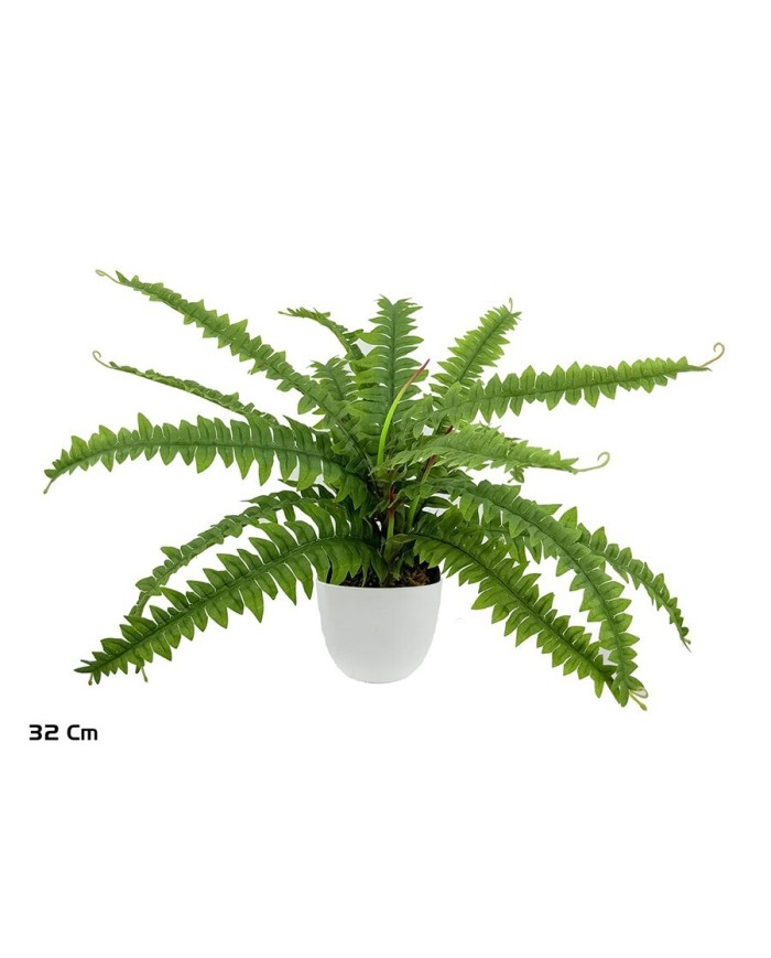 MACETA BOSTON FERN X 15 LVS - 32 CM