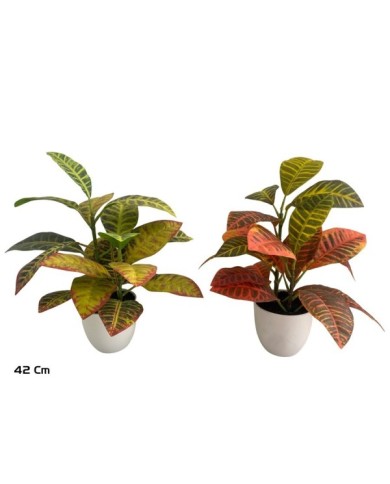MACETA CROTON X 20 LVS - 42 CM (S)