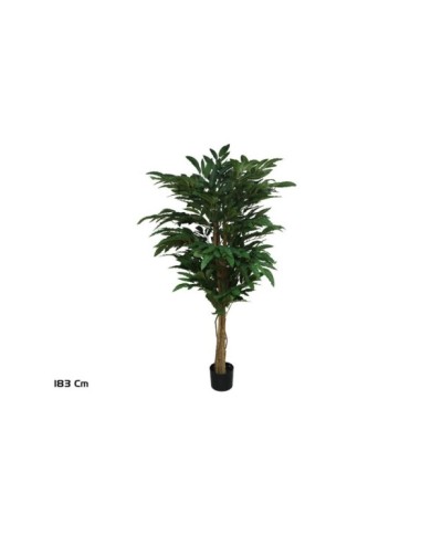ARBOL MANGO T/N 183 CM