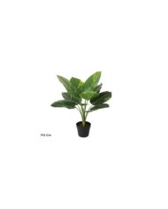 ARBOL MANGO T/N 183 CM