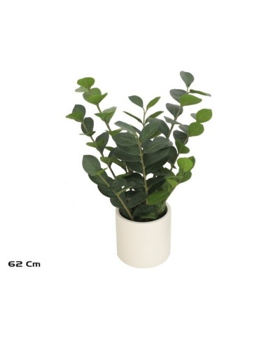 MACETA BLANCA LUX  ZAMIIFOLIA  62 CM