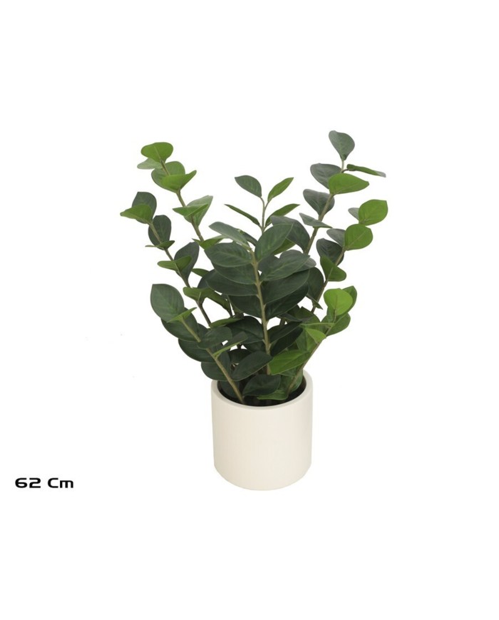 MACETA BLANCA LUX  ZAMIIFOLIA  62 CM