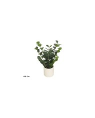 PLANTA POTHOS X 10 - 70 CM