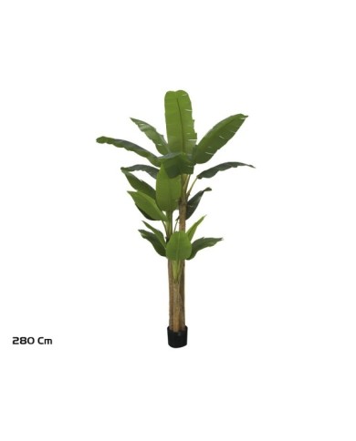 PLANTA PLATANERO LVS R/T 280 CM