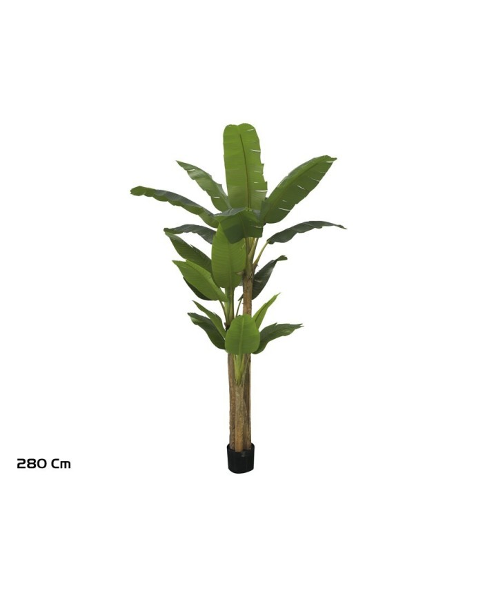 PLANTA PLATANERO LVS R/T 280 CM