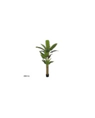 ARBOL DRACENA  X 3 150 CM